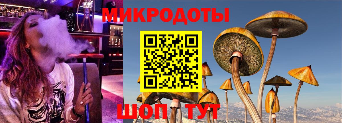 Галлюциногенные грибы мухоморы  купить закладку  Вход с VPN  Новочебоксарск  Галлюциногенные грибы прущие грибы 